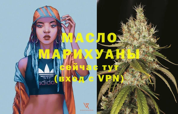 твердый Михайлов