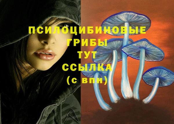 мефедрон мука Медвежьегорск