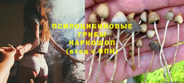 альфа пвп Медногорск